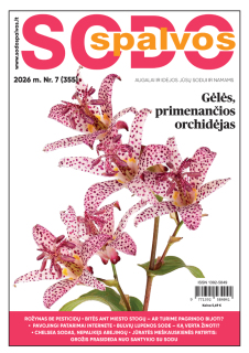 Sodo spalvos