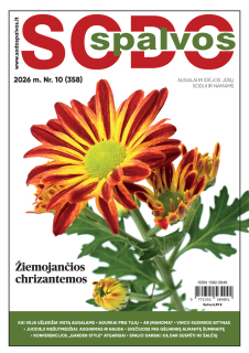Sodo spalvos