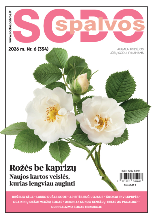 First slide