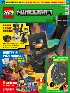 LEGO Minecraft™